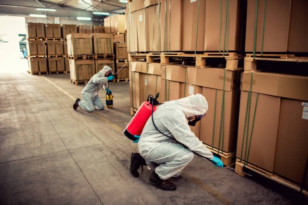 Best Cockroach Control Services  in Grayson, CA