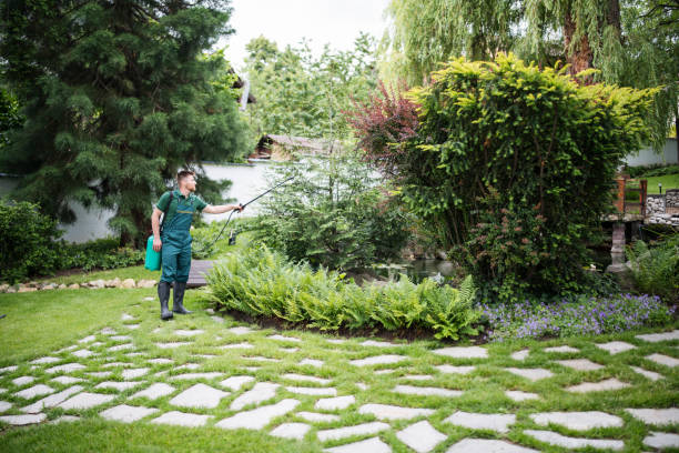 Best Wildlife Control Services  in Grayson, CA