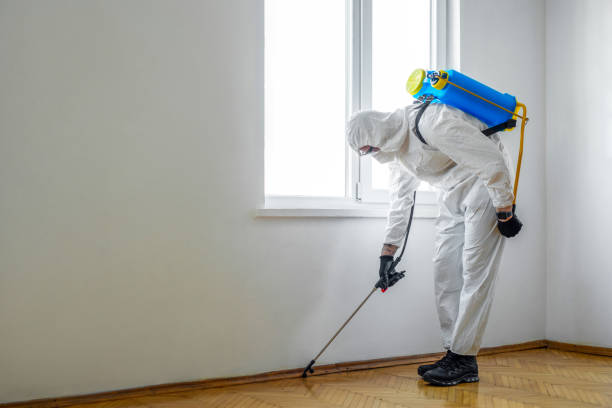 Best Flea Control Services  in Grayson, CA