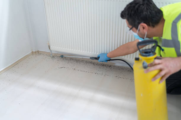 Best Ant Control Services  in Grayson, CA